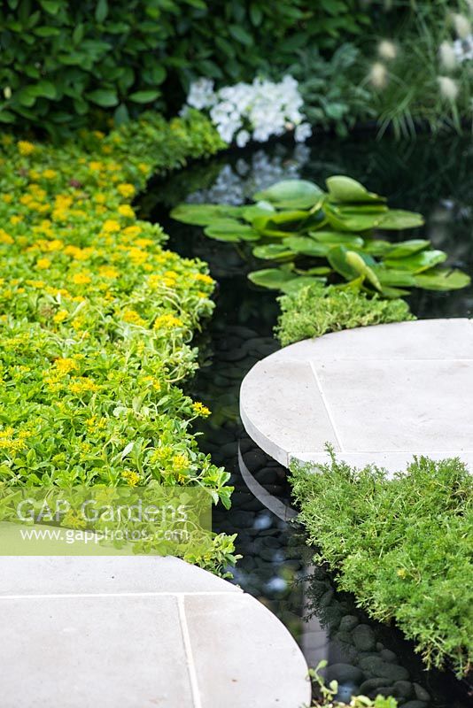 City Twitchers Garden, view of concrete circular stepping slabs over a pond and a stream with stone bottom surrounded by Chamaemelum nobile and  Sedum carpet. - Designer: Sarah Keyser, Sponsor: Living Landscapes