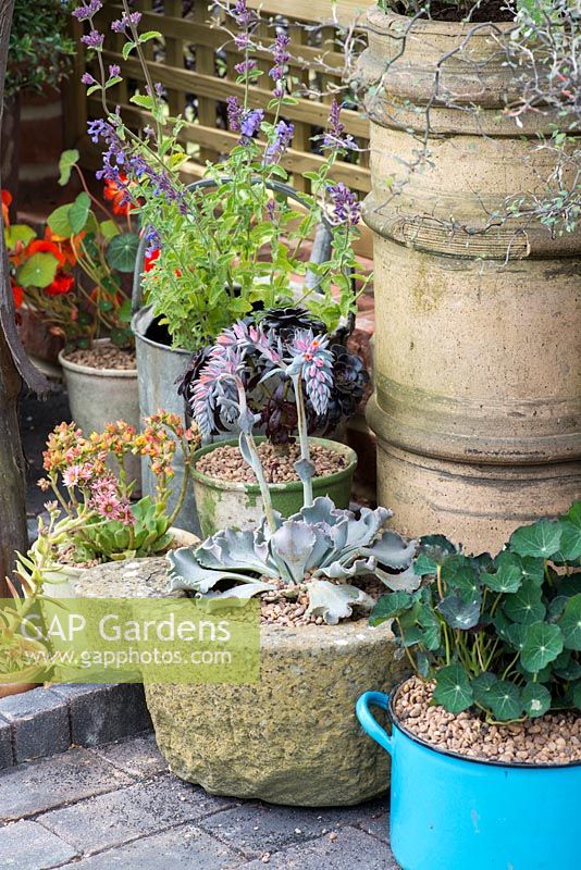 Jacksons Secret Garden Party. Old chimney pots, watering can, stone bowl and saucepan used as plant pots. Designer: Jon Sims.