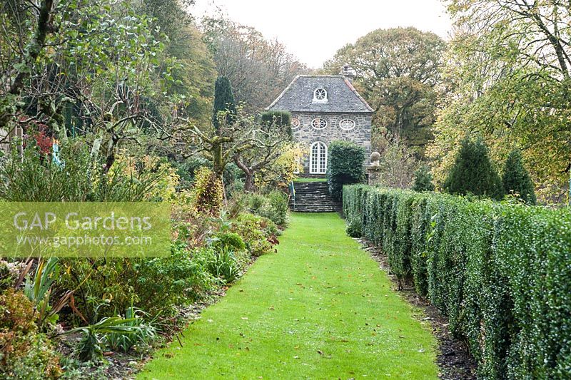 Grass path runs alongside a box hedge towards the Orangery, with old apple trees in border to the left. Plas Brondanw, Penrhyndeudraeth, Gwynedd, Wales