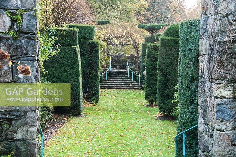 Grassy path leads towards a belvedere with pair of pleached limes forming an arch over steps. Plas Brondanw, Penrhyndeudraeth, Gwynedd, Wales
