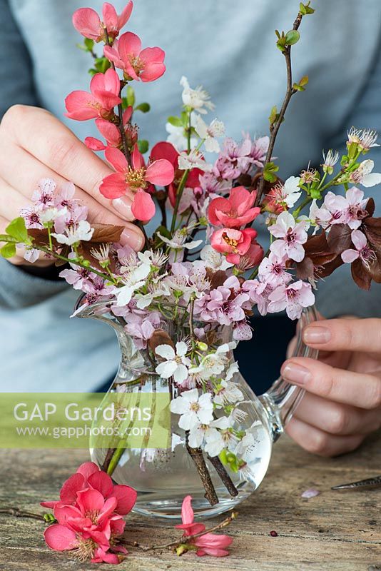 Blossom posie step by step in March: Pink cherry blossom is placed first, followed by a white blackthorn blossom and stems of Japanese flowering quince.