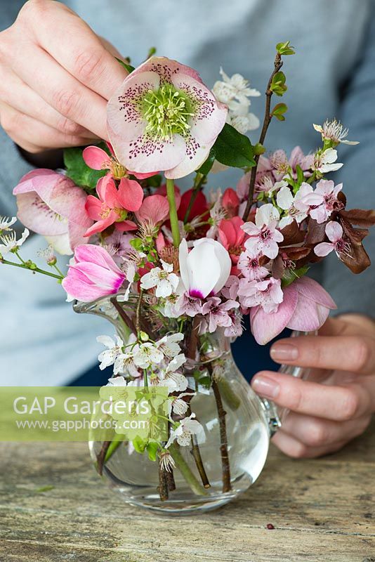 Woman making a posie March. Pink cherry blossom is placed first, followed by white blackthorn, stems of flowering quince and then pink and white cyclamen. Finally, cream and pink hellebores.