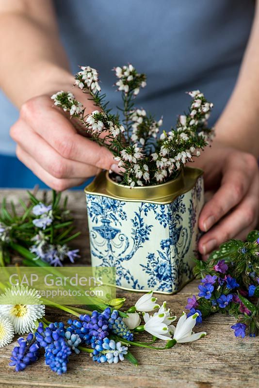 Blue and white posie step by step in April: White heather is trimmed to length and placed in an old tea tin.