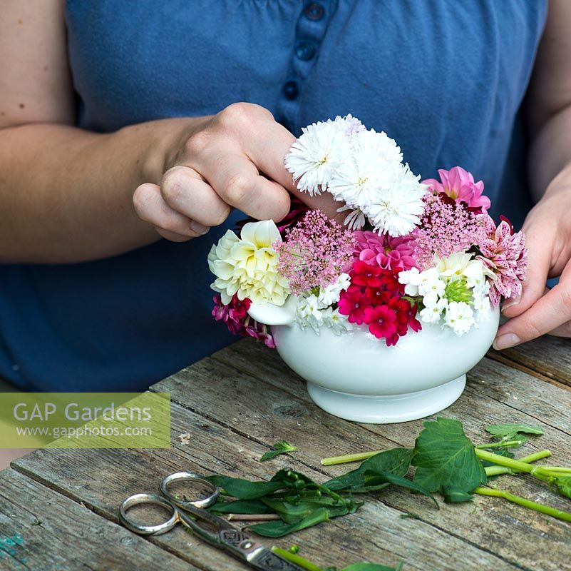 Container grown posie step by step in July: Finish by adding white asters to the dome of pimpinella, dahlias and white or pink trailing verbena.