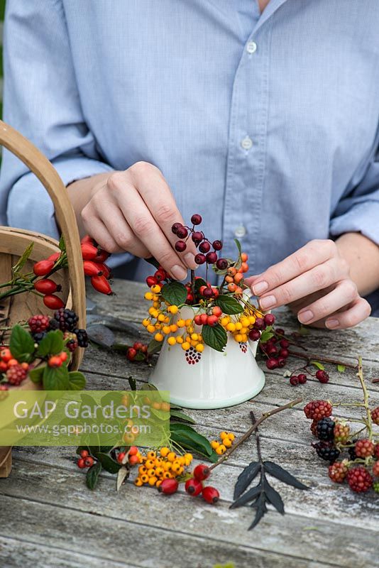 Hips and berries posie step by step in November. Placing stems of hawthorn berries alongside orange cotoneaster and yellow pyracantha berries.