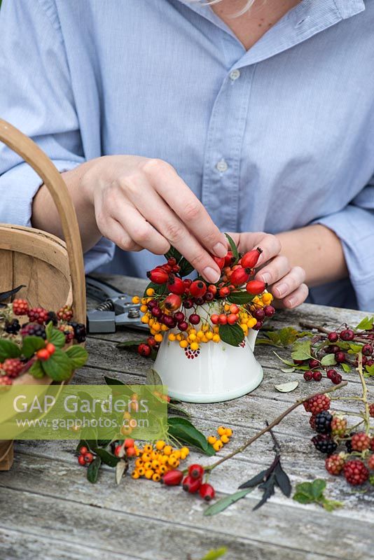 Hips and berries posie step by step in November. Adding stems of rosehips alongside berries of hawthorn, pyracantha and cotoneaster.
