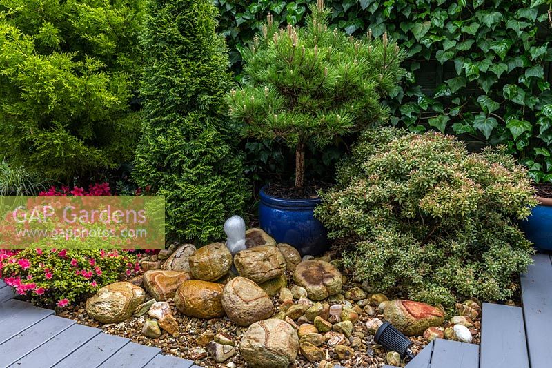 3.7m x 25m contemporary garden. Tucked away beside the path, a white water fountain tumbling down over a bed of sandstone rocks. In blue pot: Pinus thunbergii