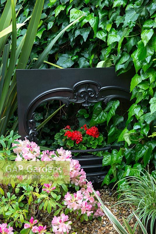 Tucked away by ivy covered fence, the cottage's original fire surround, flaming geraniums in its grate. Surrounded in phormium and pink azalea.
