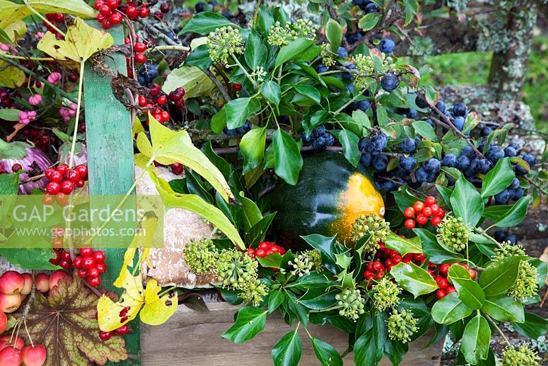 Autumn leaves and berries collected for arrangement.