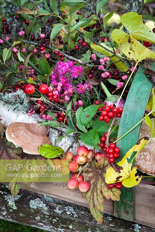 Autumn leaves and berries collected for arrangement.