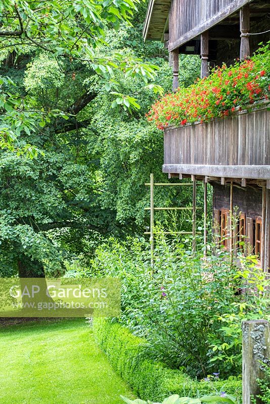 Characteristic for the south of Germany, the balcony of the wooden farmhouse is decorated with red pelargonium