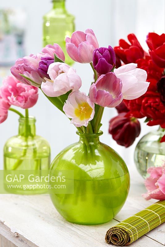 Tulip bouquet in glass vase. Tulipa 'Debutante', Tulipa 'Crispion Rosar', Tulipa 'Dirk Van Kleef', Tulipa 'Mistic Prince'.