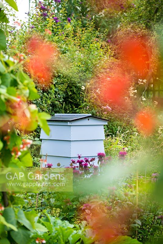 Beehive in summer garden.
