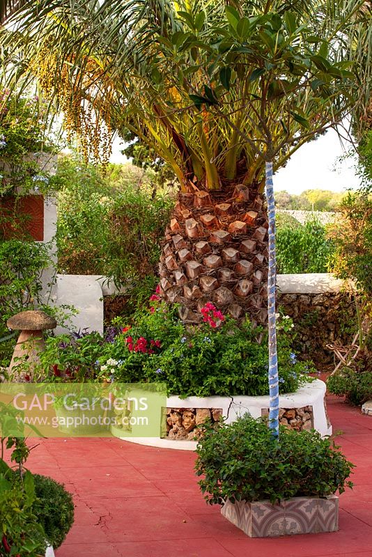 Raised bed on patio with palm tree, red floor. Small tree painted with blue and white stripes. Alaior, Menorca. 