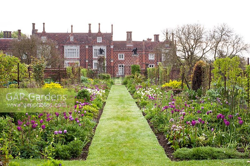 Double borders and house in spring with tulips - Helmingham Hall, Suffolk