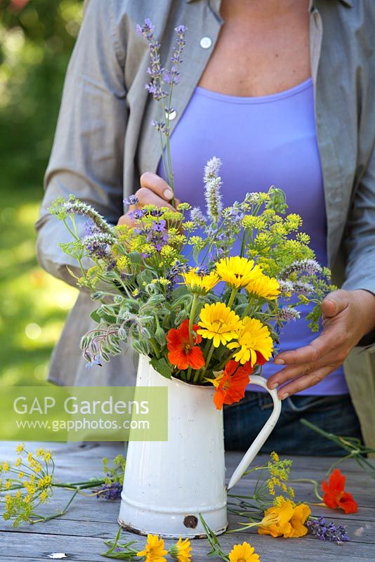 Woman making an arrangement. Jug of herb and edible flowers - marigold, fennel, borago, mint, nasturtium