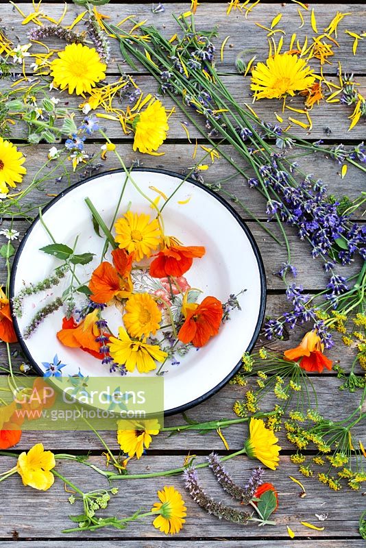 Herbs and edible flowers - marigold, fennel, borago, mint, nasturtium, lavender.