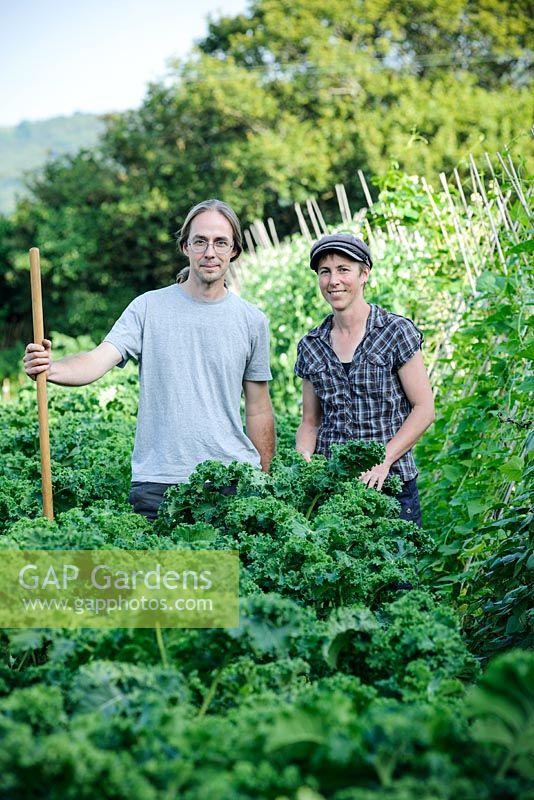 Ben and Kate amongst 'East Friesian Palm' Kale
