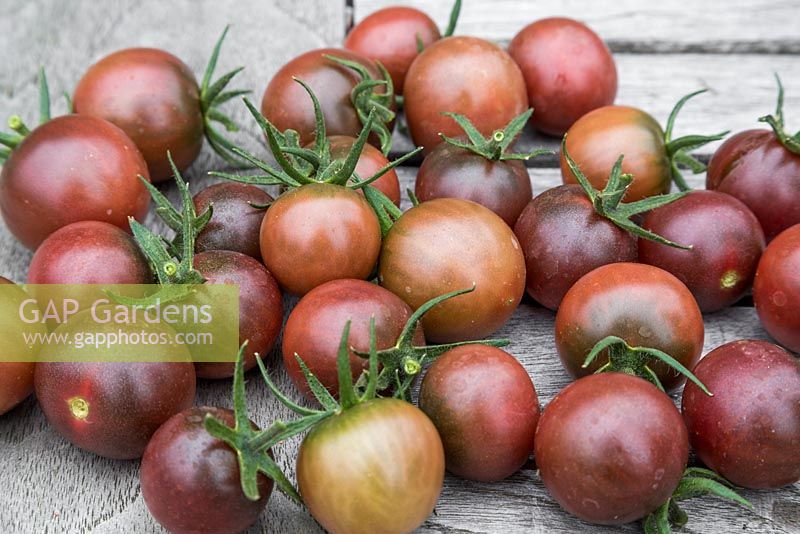 Tomato 'Chocolate Cherry' - Lycopersicon lycopersicum on wooden table
