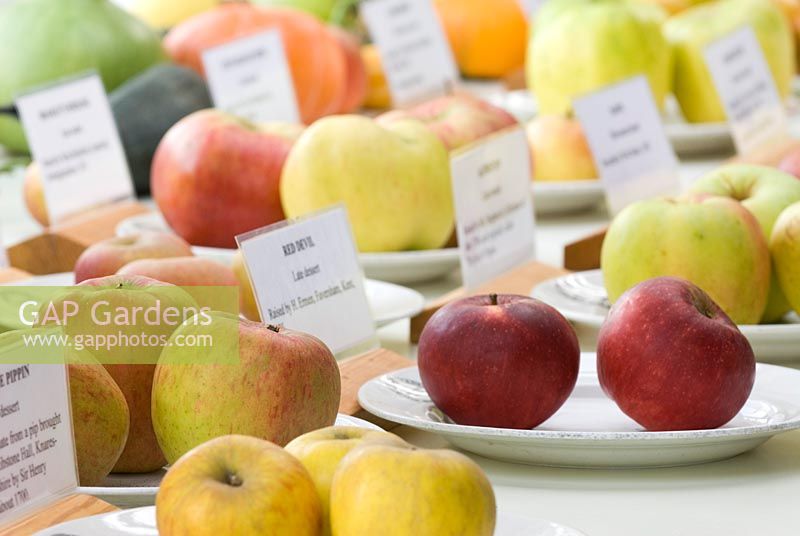 The apple display at West Dean 
