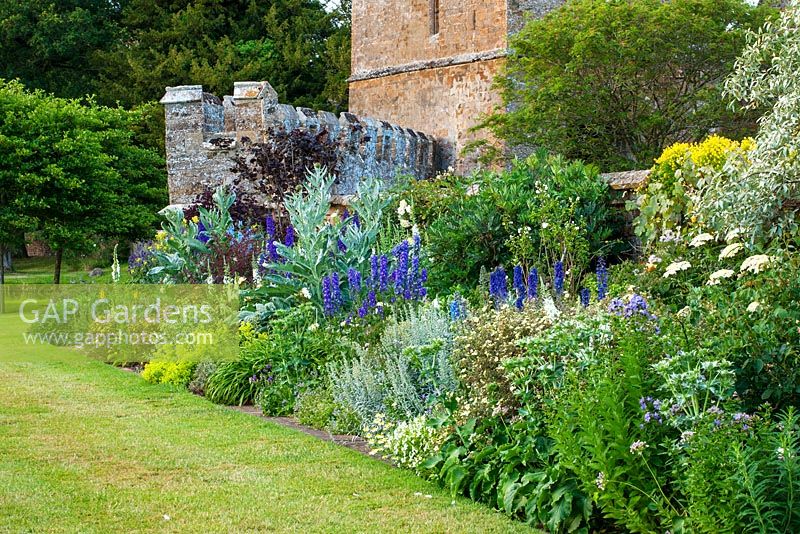 The battlement border in summer with cardoons and blue delphiniums. Broughton Castle, Oxfordshire