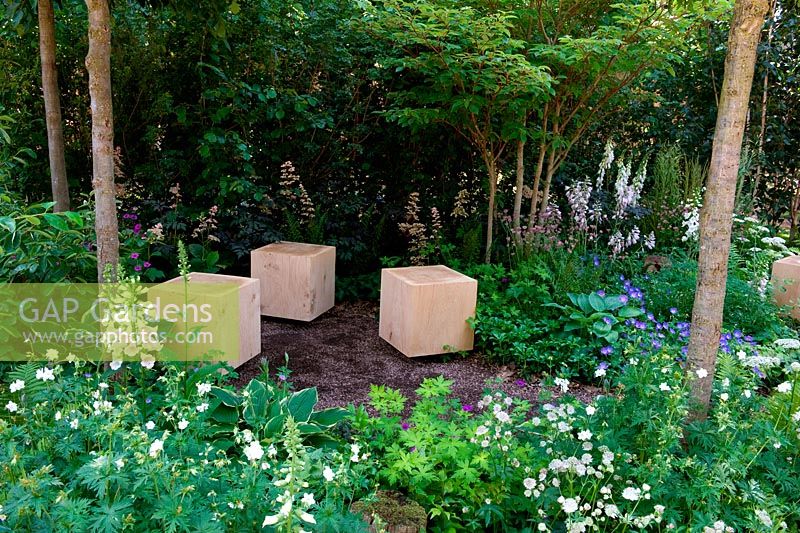 Athanasia Summer, Garden Gold medal. RHS Hampton Court Palace Flower Show 2013. Shady woodland garden with wooden block seats. David Sarton Weald Garden Design Ltd 
