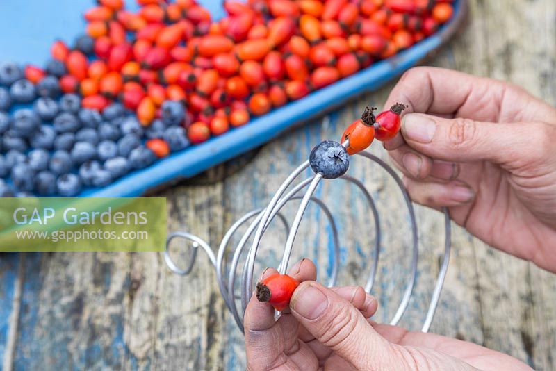 Thread the blueberries and rose hips onto the wire