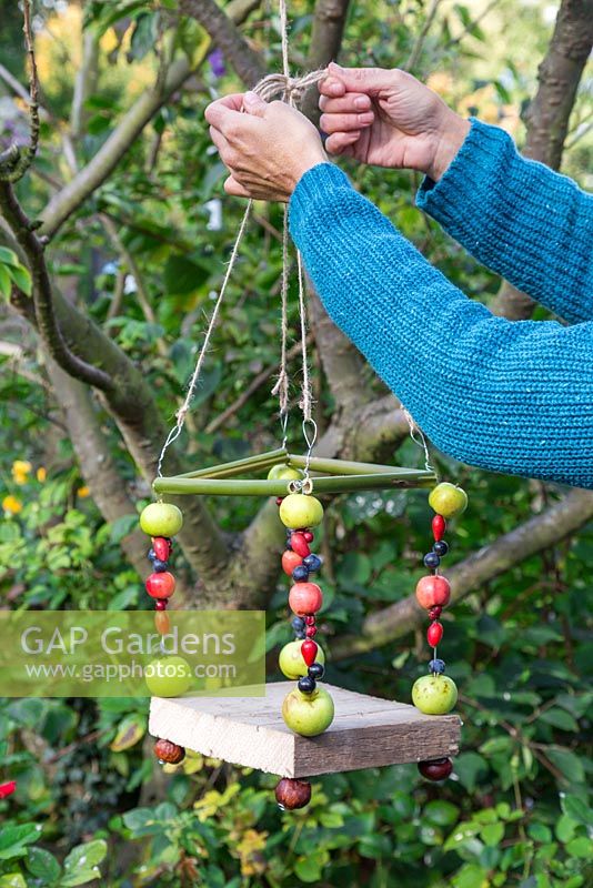 Securely fix the Berry House bird feeder in position using string