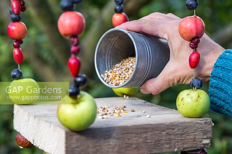 Add an additional food source of bird seed to encourage the birds to feed