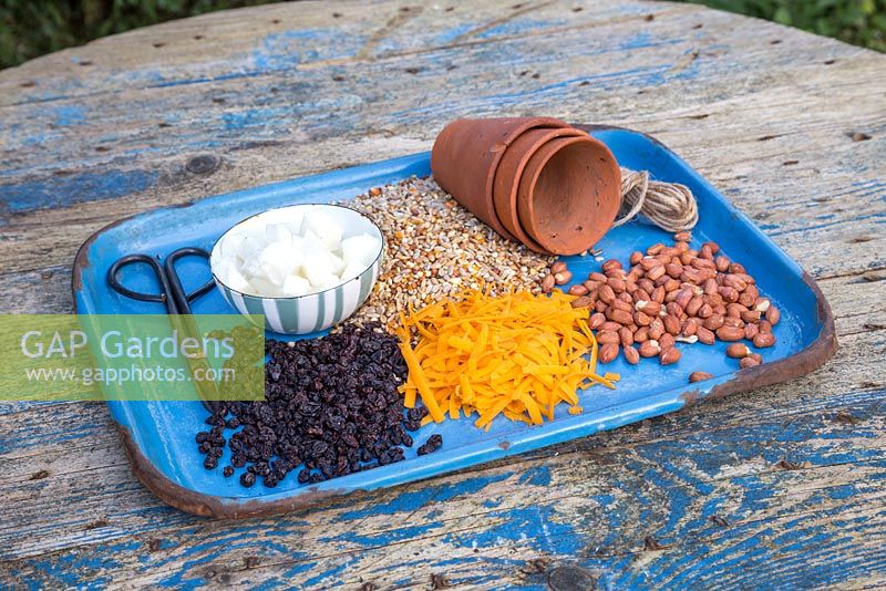Ingredients required to make a fat bird feeder. Lard or fat, raisins, bird seed, cheese, peanuts, terracotta pots, string and scissors