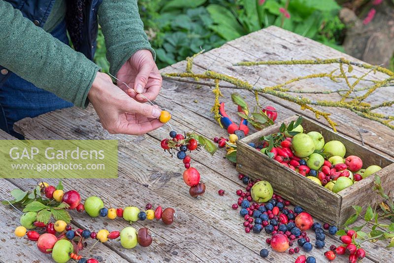 Thread your foraged berries and fruit onto the lengths of wire
