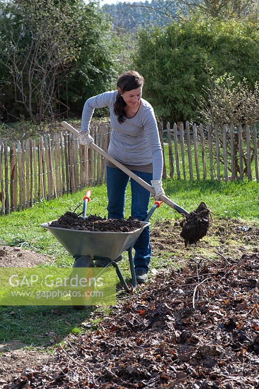 Woman covering layer of autumn leaves with compost in newly created bed 