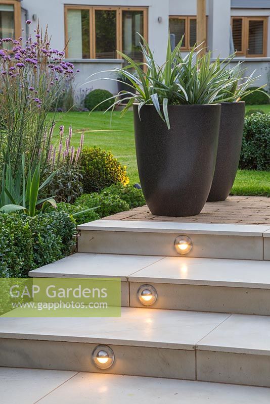 Lighting feature built into the marble steps, with potted Astelia chathamica