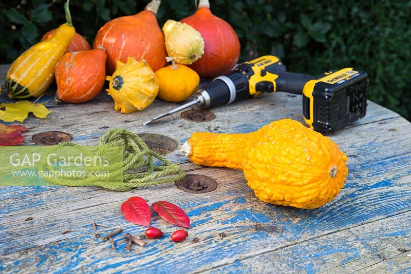 Materials required to contruct a Gourd bird feeder. Drill with Wood Space or Paddle Bits, Autumnal leaves, Rose hips, Skewer, Spoon, Nails, small Twigs, String and a Gourd