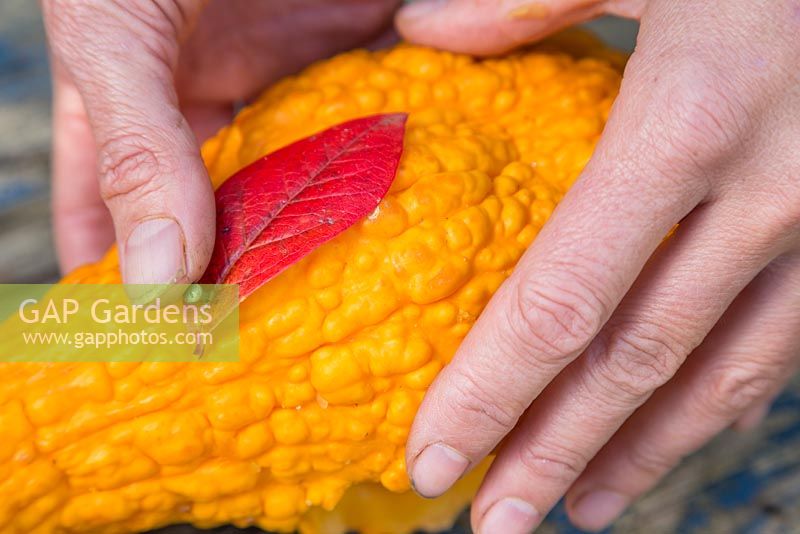Use a small nail to pin the autumnal leaves to the sides of the Gourd