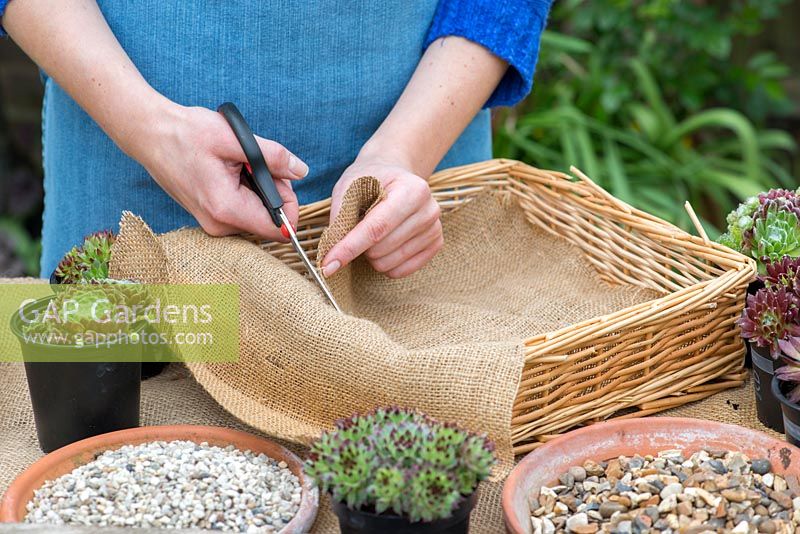 Planting a basket with succulents. Step 2: line the basket with Hessian, to both retain gravel and compost, and create neutral backdrop behind basket weave.