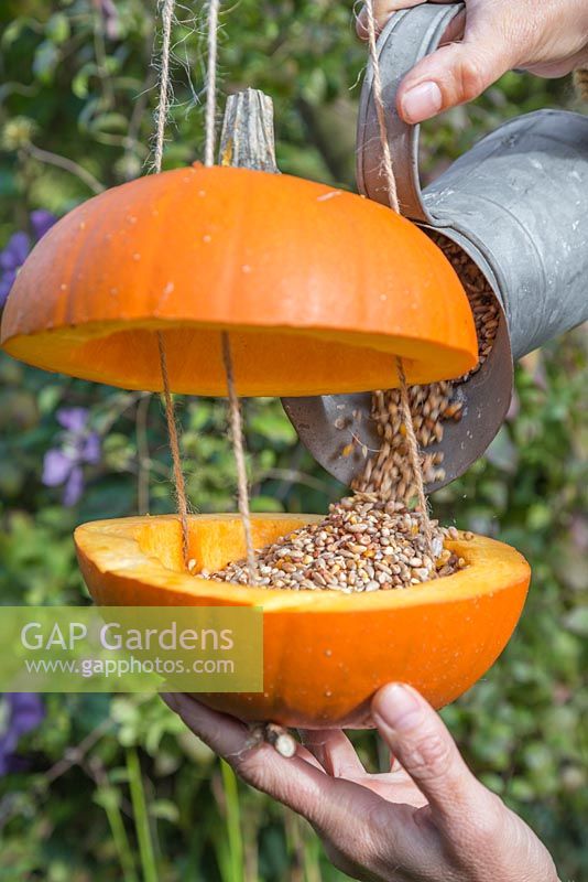 Filling the centre of the Pumpkin Bird Feeder with bird seed