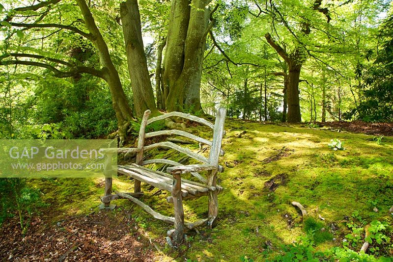 Rustic bench in woodland garden