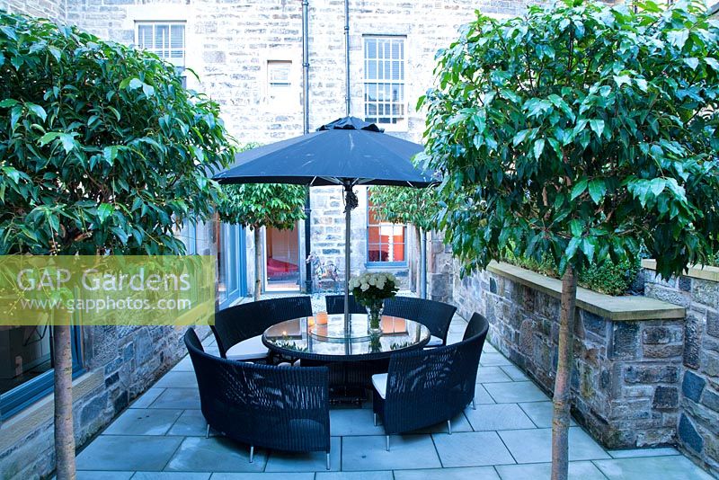 Contemporary outdoor space featuring seating area and sunbrella flanked by Portuguese laurel
