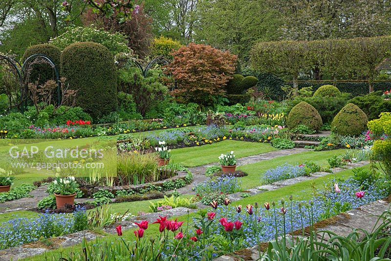 Chenies Manor Gardens showing the 'Sunken Garden' at Spring Tulip festival