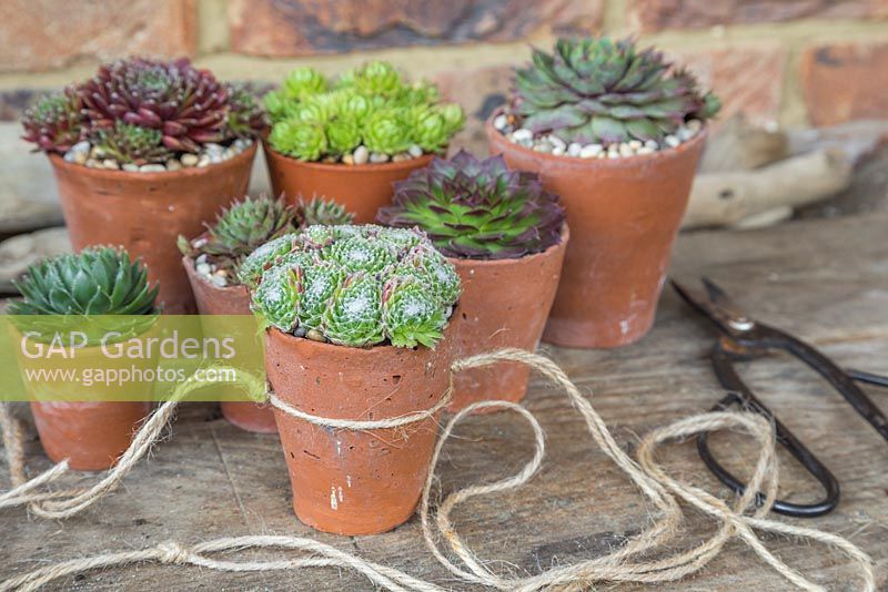 Use string to create a tight pocket to sit the terracotta pots in