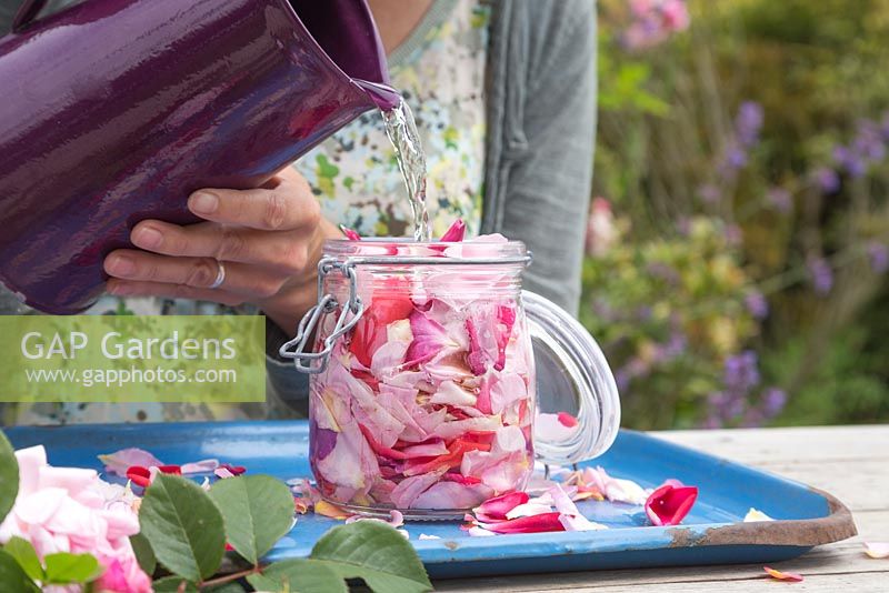 Add water to the glass jar of rose petals