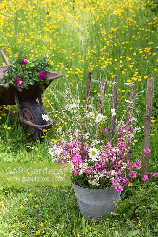 A bucket of wildflowers against a rustic fence, with a view to a meadow of Buttercups - Ranunculus