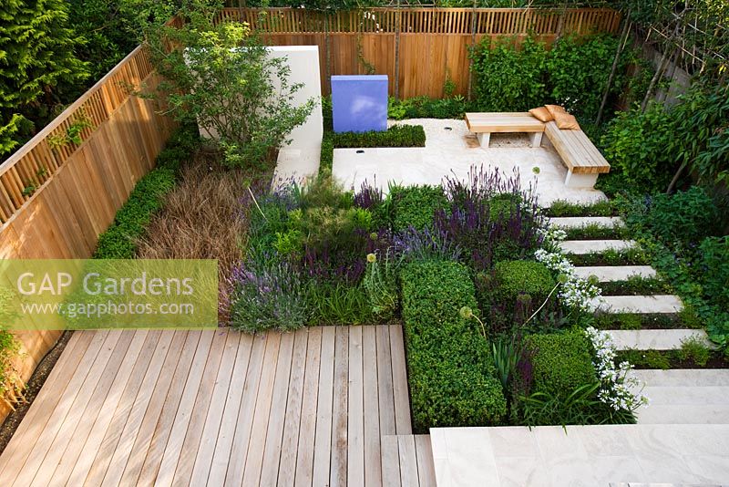 View onto formal town garden in London with decking, box cubes, Agapanthus 'Enigma', Salvia 'Mainacht', 'Purpurescens' and 'Caradonna', Carex buchananii. Designer: Charlotte Rowe
