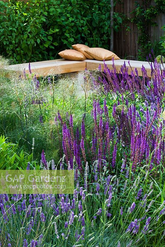 Formal town garden with wooden corner bench and cushions with planting including Salvia mainacht, purpurescens. Designer: Charlotte Rowe, London
