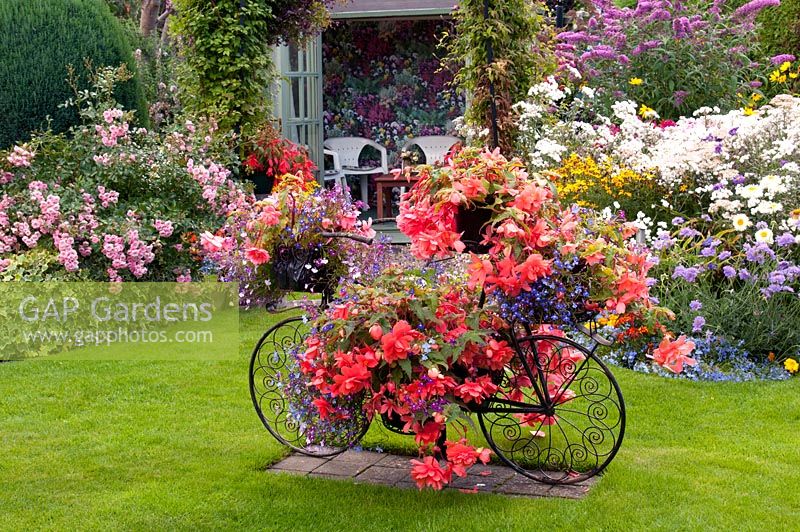 Colourful decorative bicycle holding pots with Begonia and Lobelia on a lawn and colourful mixed beds filled with perennials shrubs Rosa and Buddleia tender bedding plants by summer house. Manvers Street, Derbyshire NGS August