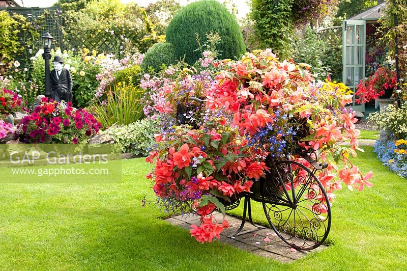 Decorative bicycle holding pots with Begonia and Lobelia on lawn and colourful mixed bed filled with perennials and tender bedding plants. Manvers Street, Derbyshire NGS, August