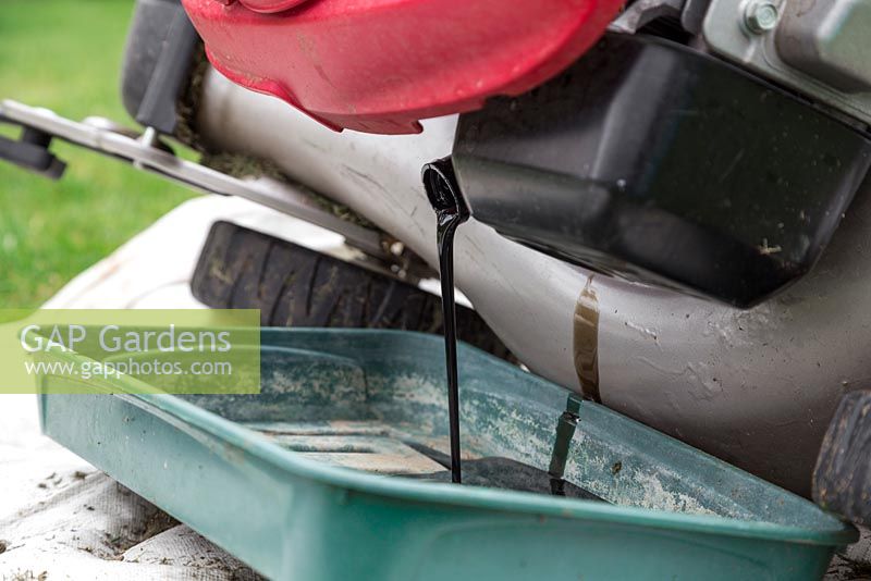 Tilt the lawn mower on its side and begin to drain the dirty engine oil into the empty tray