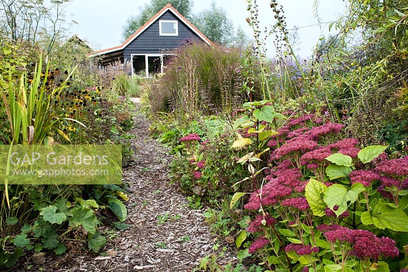 Path through autumn herbaceous borders leading to the House. Sedum 'Herbsfreude', Foeniculum vulgare 'Giant Bronze', Rudbeckia. Madelien van Hasselt.
