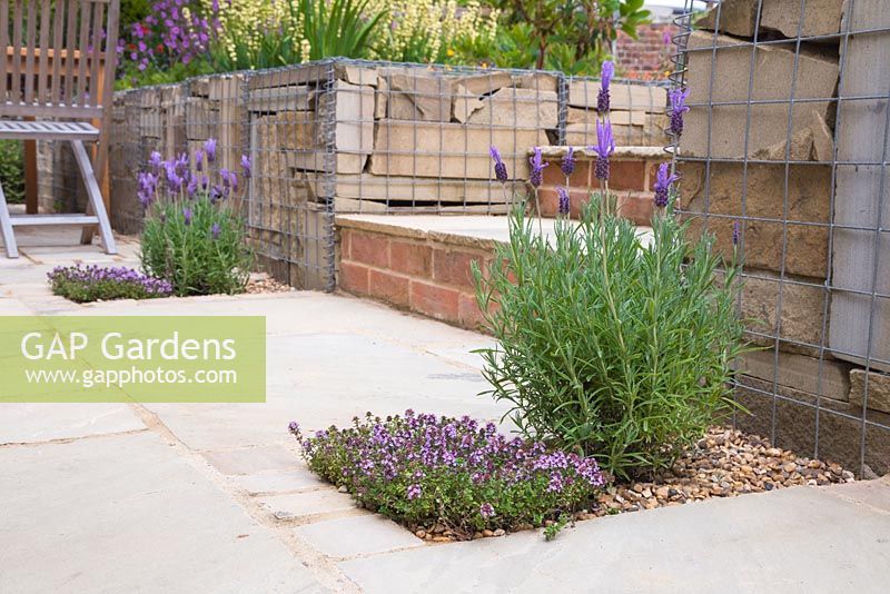 Small twin gravel beds in a patio containing Lavender and Thyme